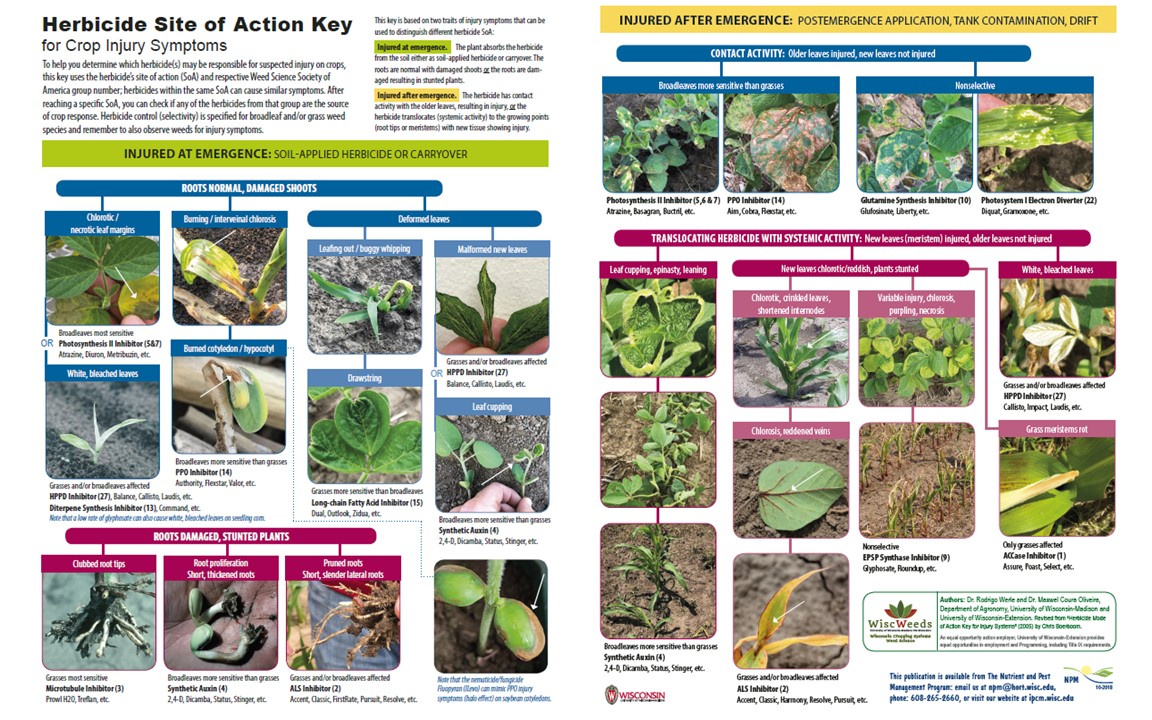 Herbicide Site Of Action Chart